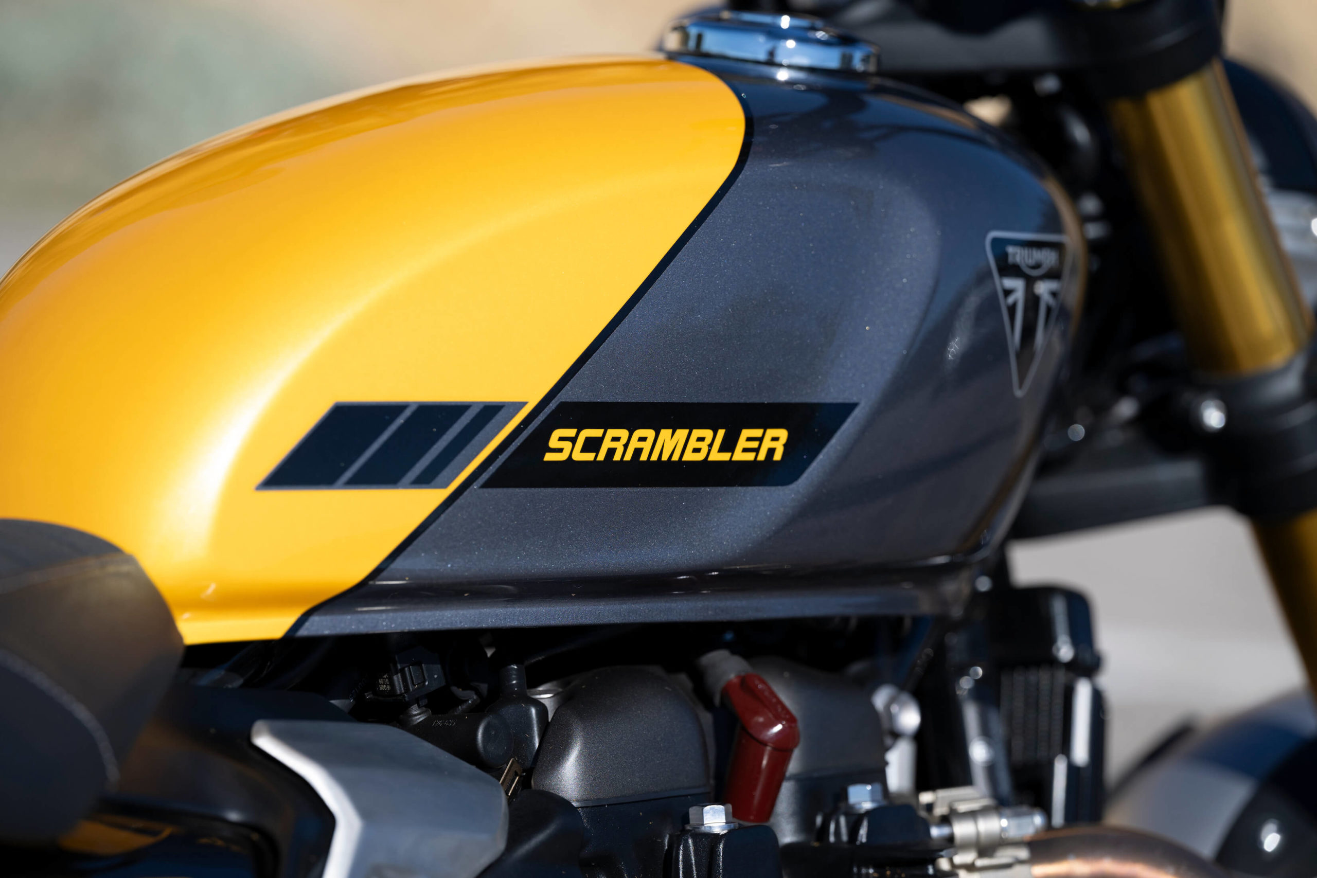 triumph modern classics 2026 scrambler 900 reservoir